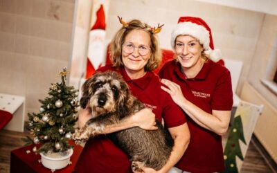 Öffnungszeiten Weihnachten und Silvester 2025/2026